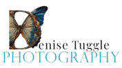 Denise Tuggle Photography